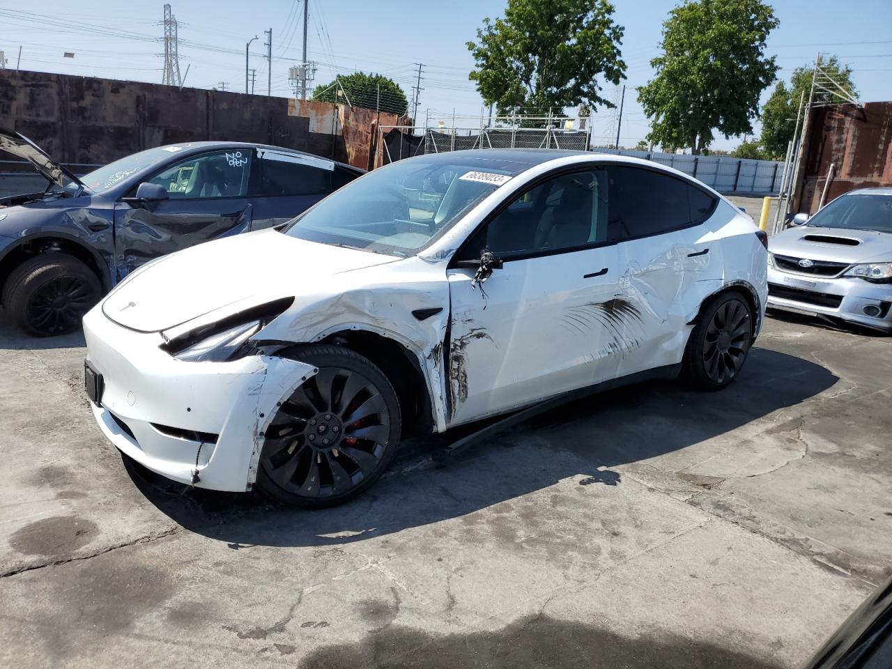 2021 TESLA MODEL Y  2021 image