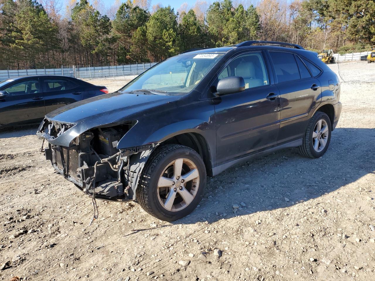Obraz 2006 LEXUS RX 330 2006