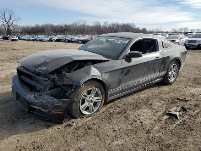 2014 FORD MUSTANG  2014 image