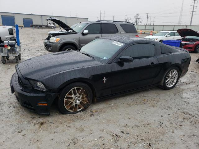 2014 FORD MUSTANG  2014 image