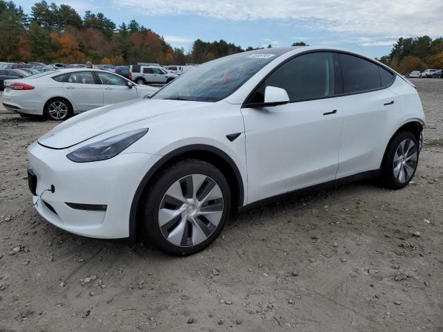 2023 TESLA MODEL Y  2023 image
