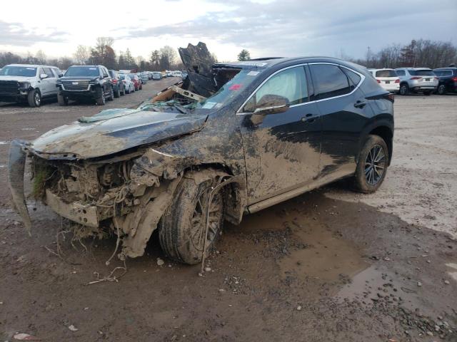 Изображение 2024 LEXUS NX 350 PREMIUM 2024