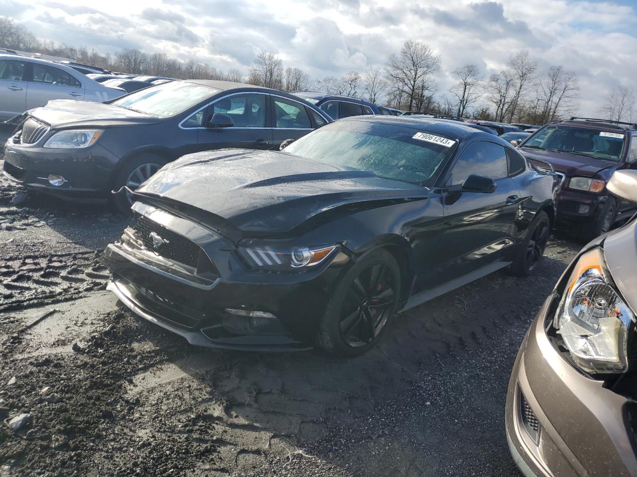 Obraz 2015 FORD MUSTANG  2015