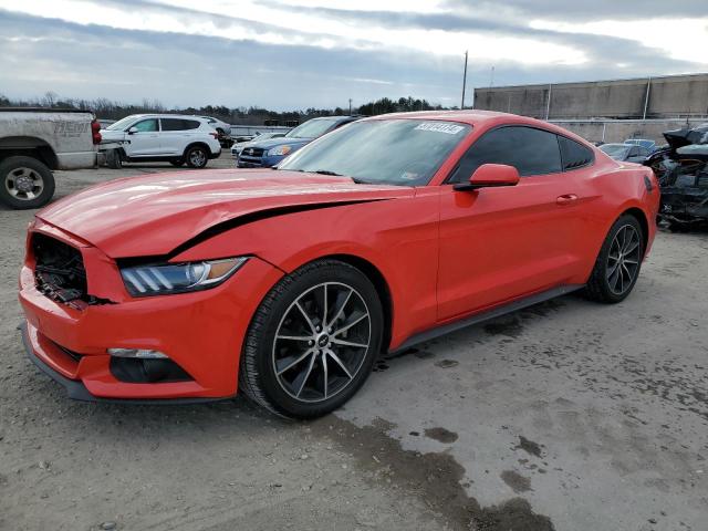 2017 FORD MUSTANG  2017 image