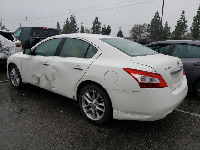 Obraz 2 z 2009 NISSAN MAXIMA S 2009 z VIN 1N4AA51E19C849628