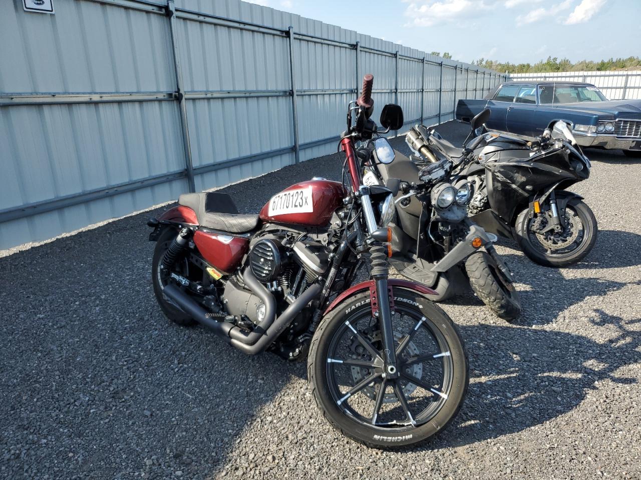 Obraz Harley-Davidson Xl883 N 2019