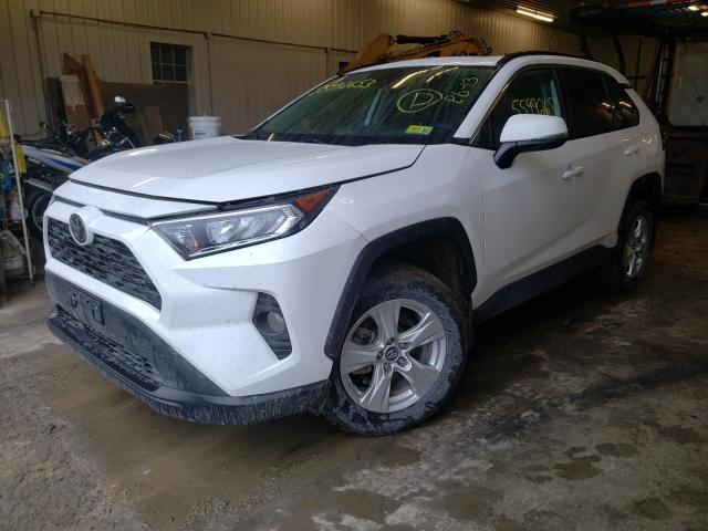 Image 1 of 2019 TOYOTA RAV4 XLE 2019 with VIN 2T3P1RFV2KC018678