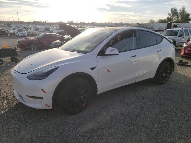 2022 TESLA MODEL Y  2022 image