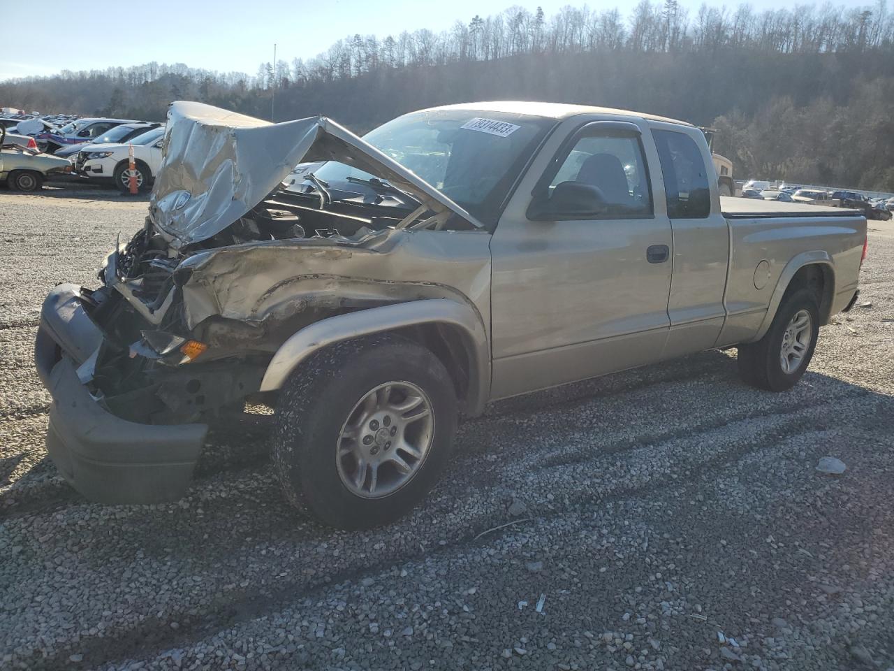 2003 DODGE DAKOTA SXT 2003 image