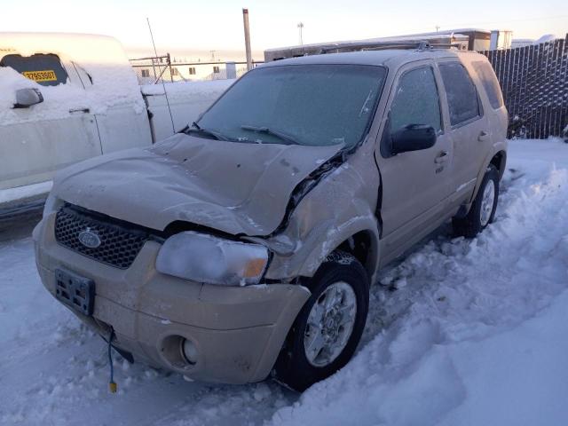 Image 1 of 2007 FORD ESCAPE LIMITED 2007 with VIN 1FMYU94117KA10111