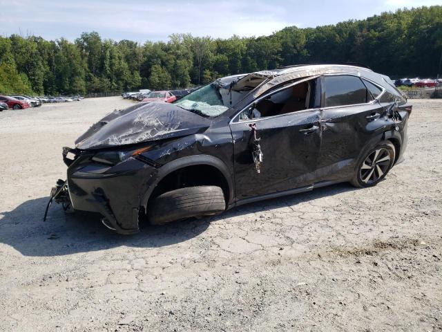 2018 LEXUS NX 300 BASE 2018 image