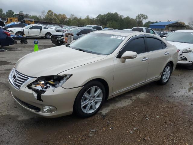 Obraz 2010 LEXUS ES 350 2010