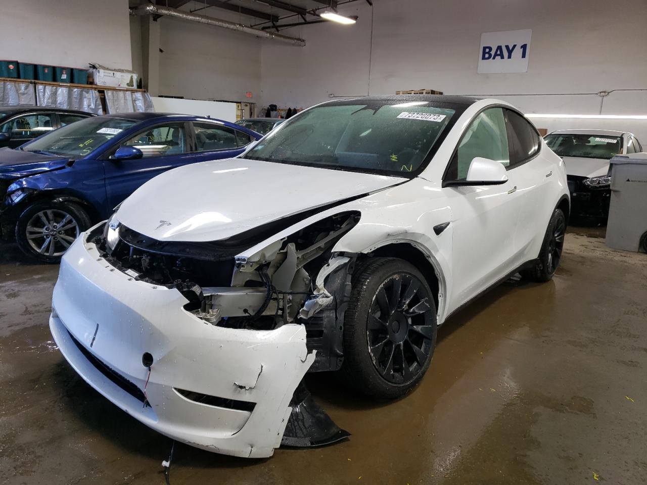 2023 TESLA MODEL Y  2023 image
