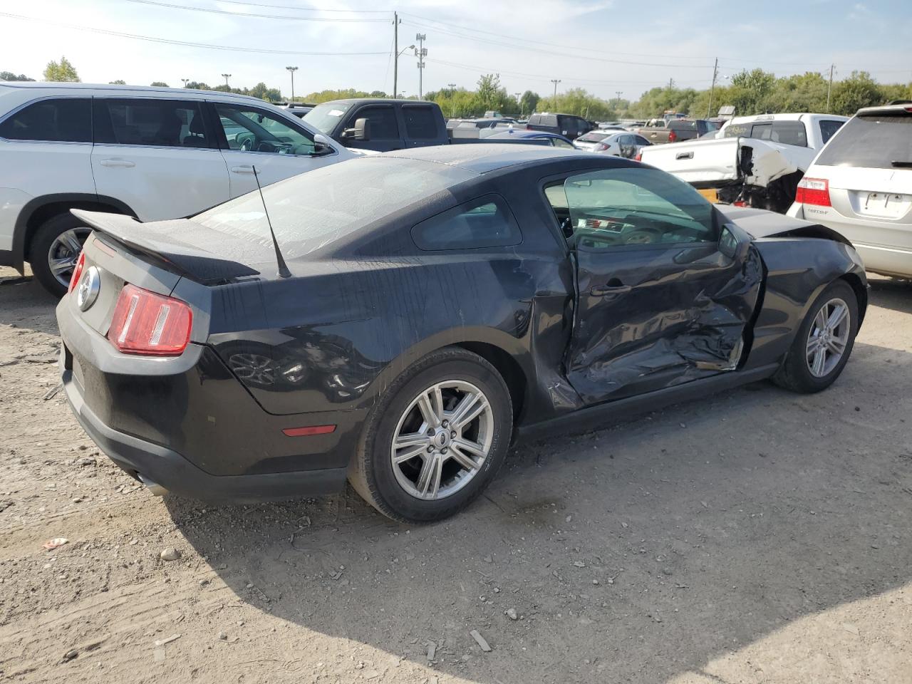 Obraz 3 z 2012 FORD MUSTANG  2012 z VIN 1ZVBP8AM8C5239403