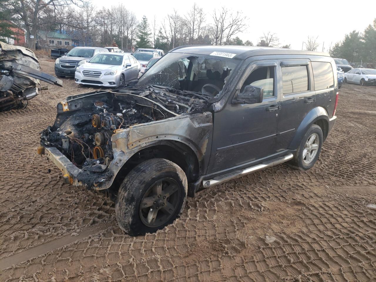 Obraz 2008 DODGE NITRO SXT 2008