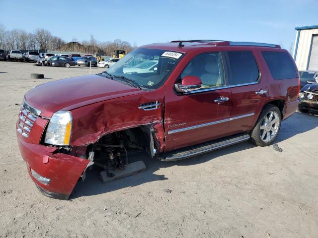 2011 CADILLAC ESCALADE LUXURY 2011 image