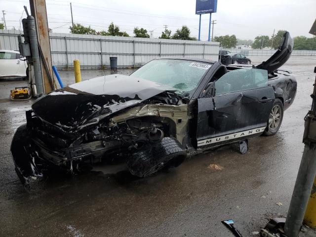 2005 FORD MUSTANG  2005 image