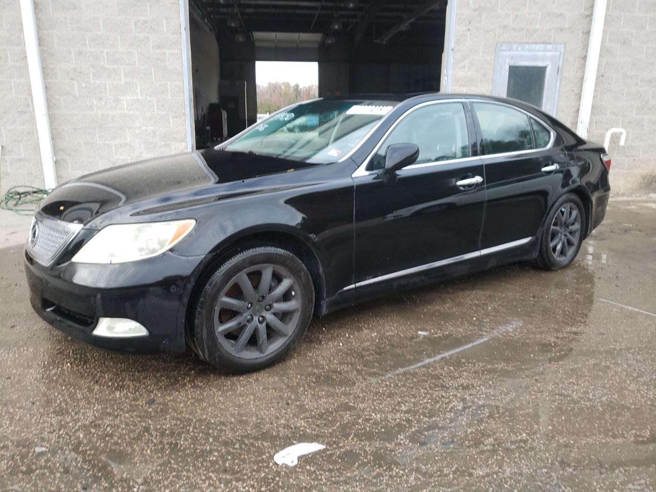 2009 LEXUS LS 460 2009 image