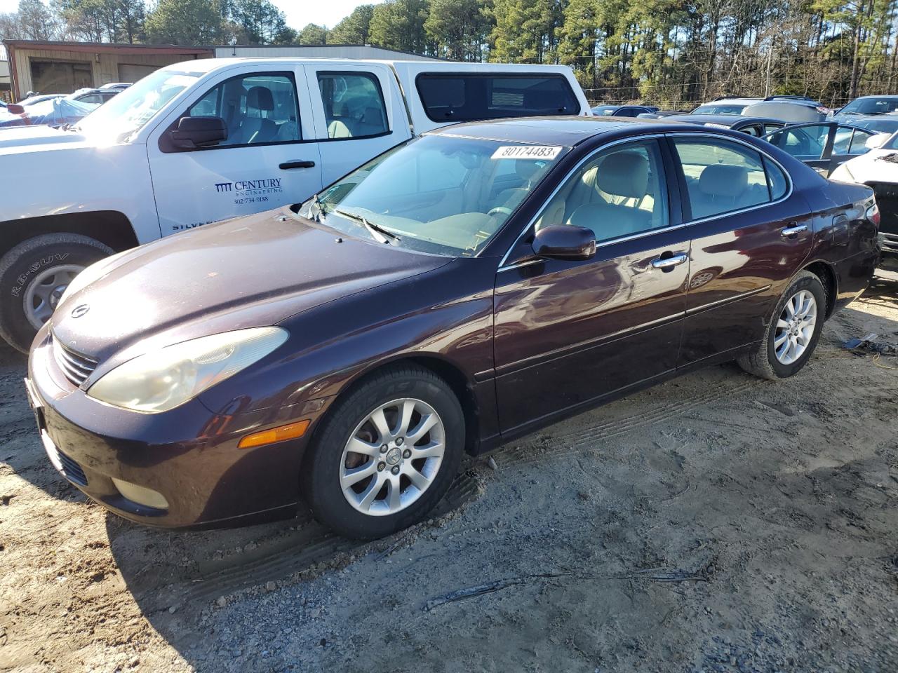 2004 LEXUS ES 330 2004 image