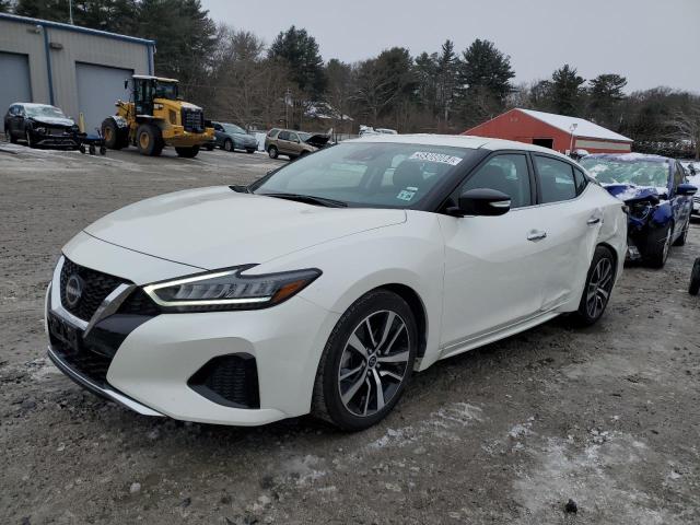 2023 NISSAN MAXIMA SV 2023 image