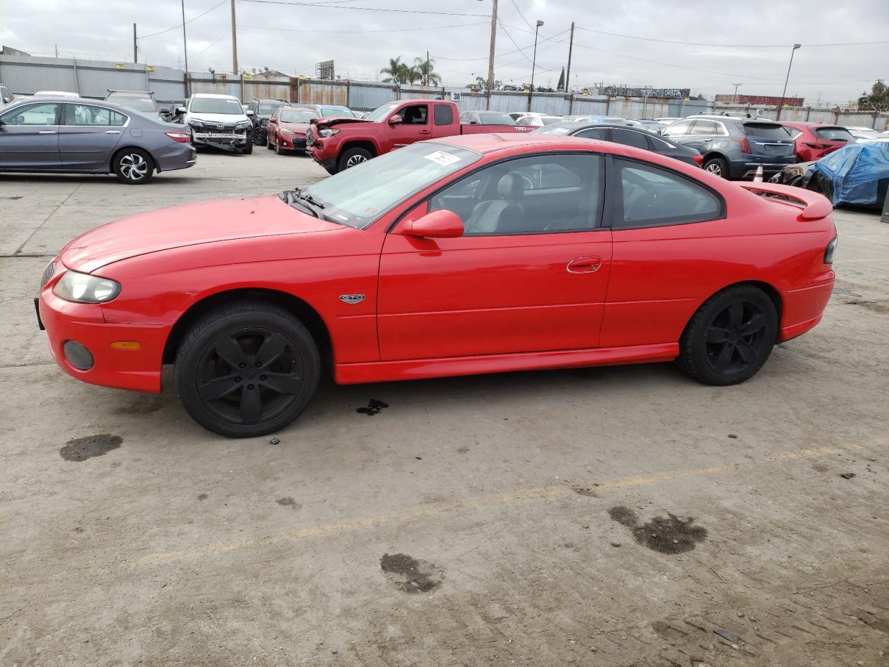 2004 PONTIAC GTO  2004 image