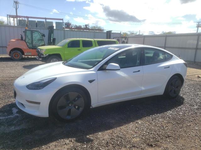 2023 TESLA MODEL 3 2023 image