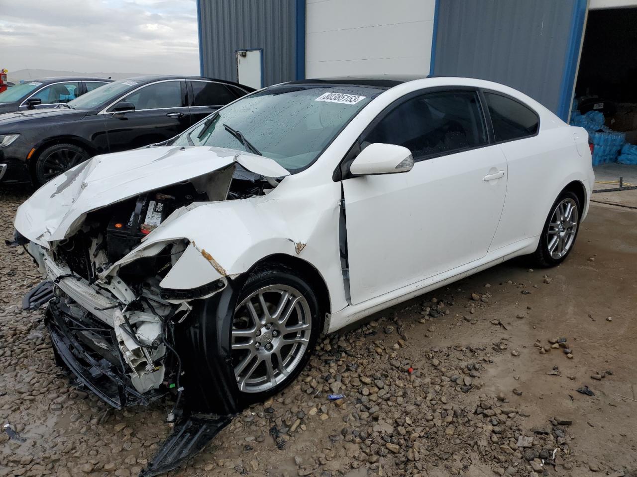 2008 TOYOTA SCION TC  2008 image