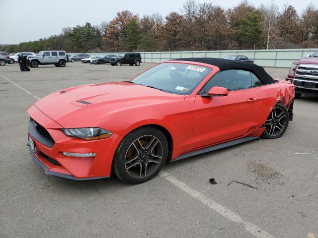 2019 FORD MUSTANG  2019 image