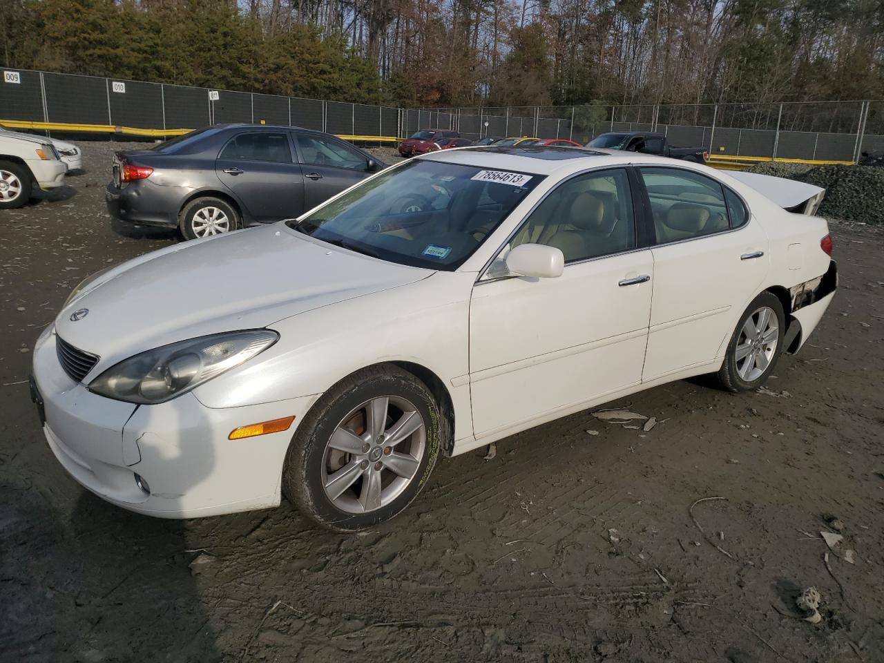 Изображение 1 2005 LEXUS ES 330 2005 с VIN JTHBA30G755128460