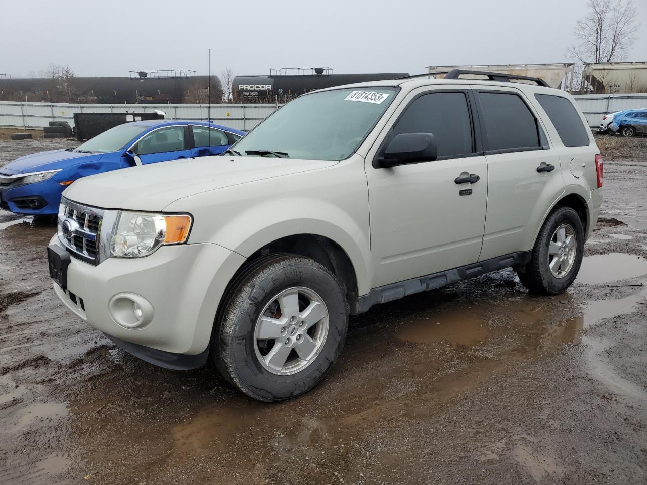 Obraz 2009 FORD ESCAPE XLT 2009