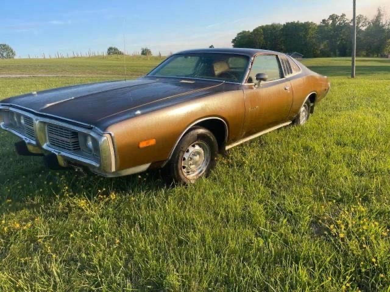 1973 DODGE CHARGER 1973 image