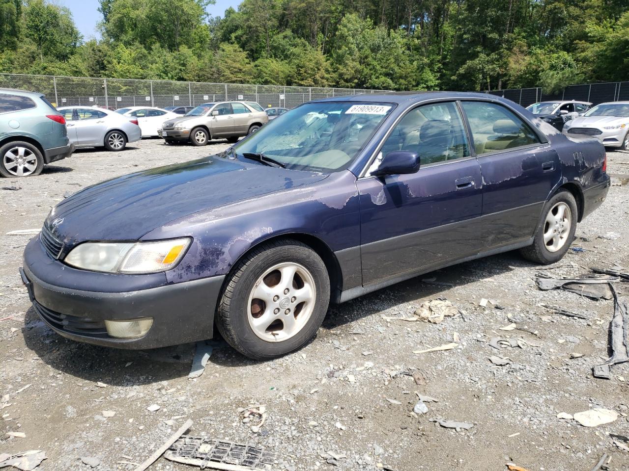 1999 LEXUS ES 300 1999 image