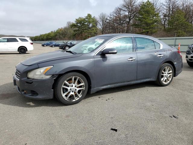 Image 1 of 2010 NISSAN MAXIMA S 2010 with VIN 1N4AA5AP5AC845717
