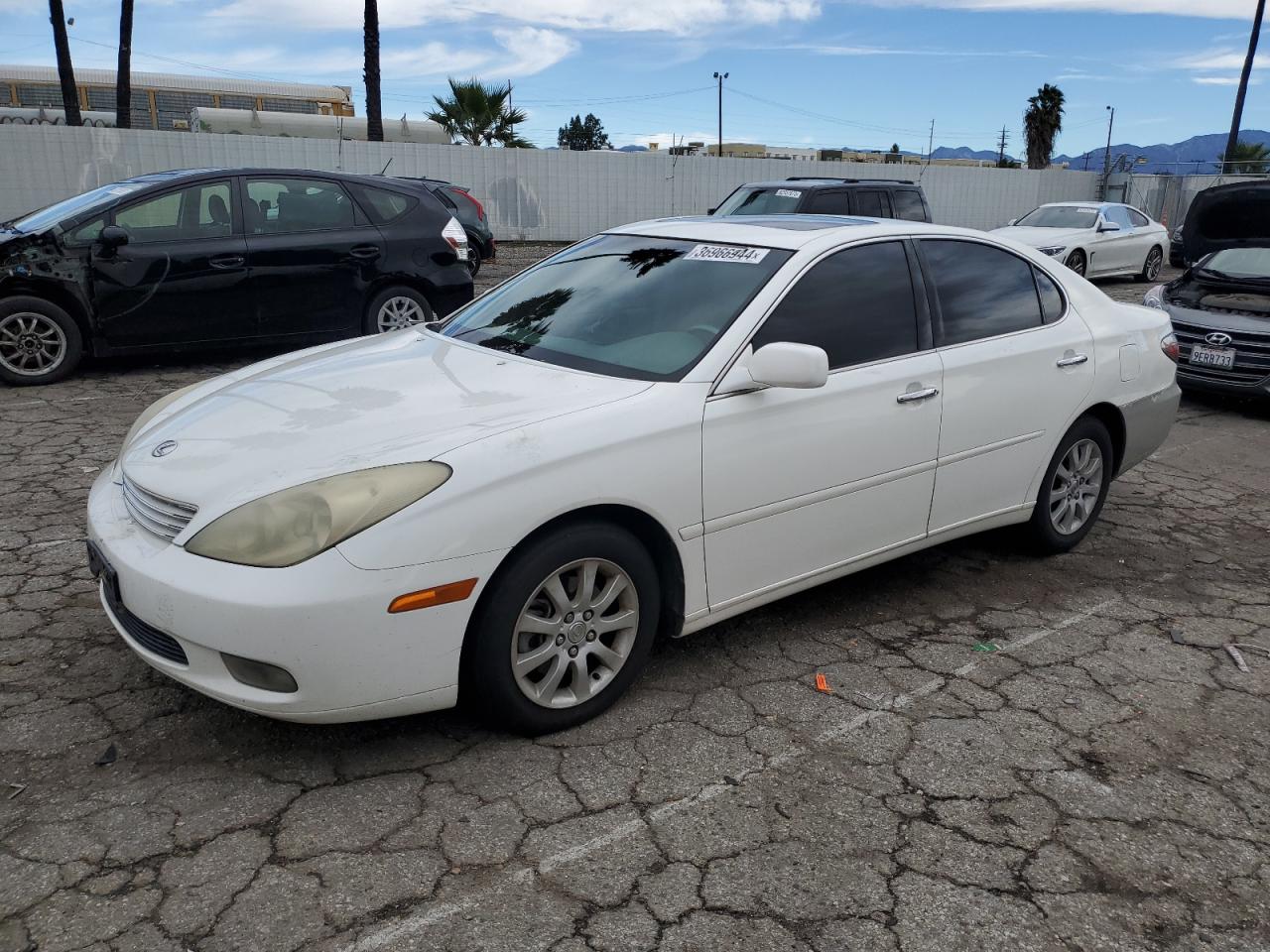 2004 LEXUS ES 330 2004 image
