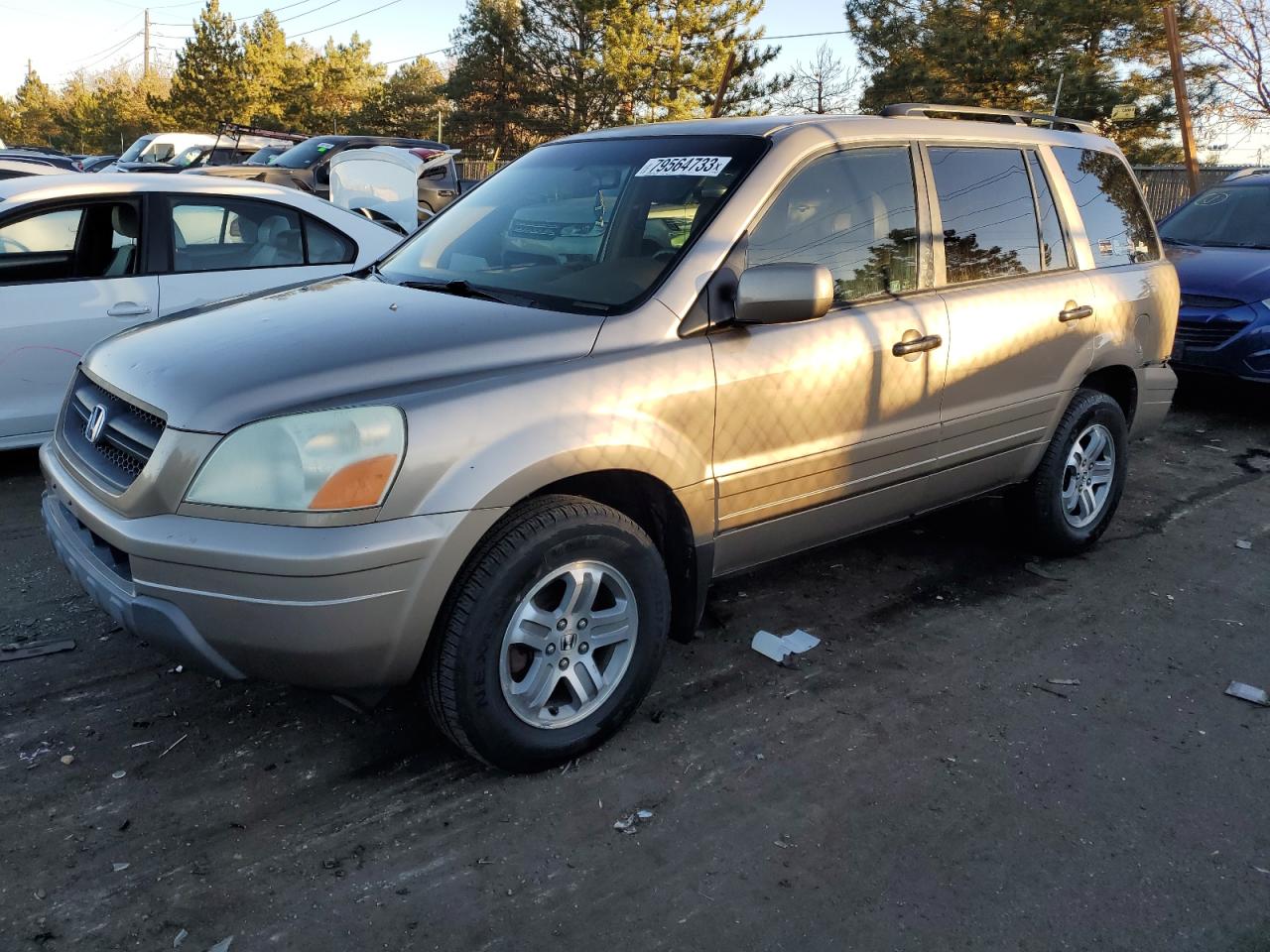 2004 HONDA PILOT EXL 2004 image