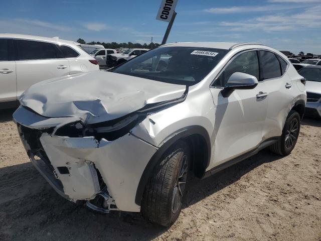 2024 LEXUS NX 250 BASE 2024 image