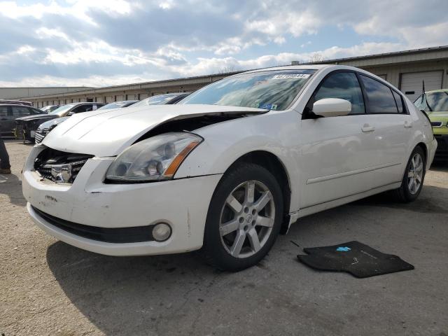 2006 NISSAN MAXIMA SE 2006 image
