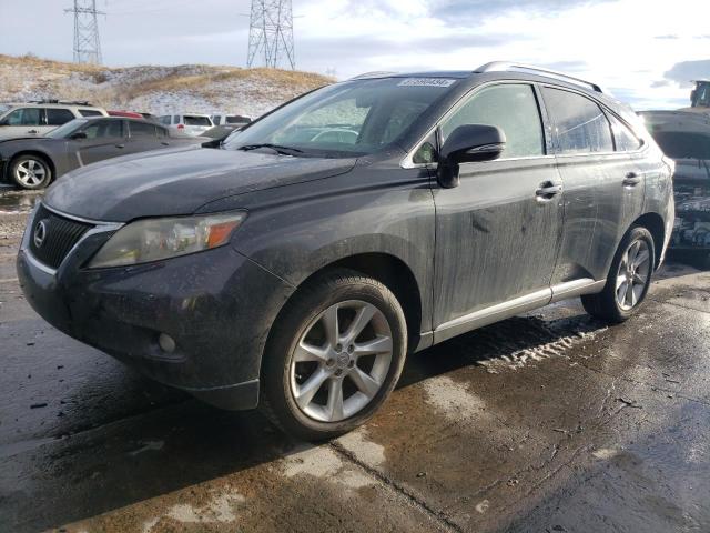 2010 LEXUS RX 350 2010 image