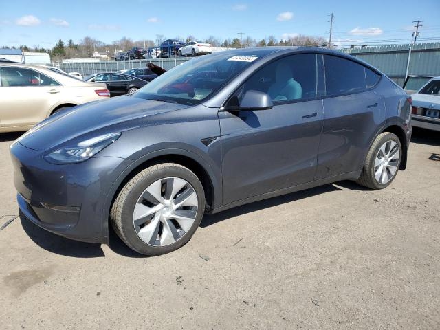 2021 TESLA MODEL Y  2021 image