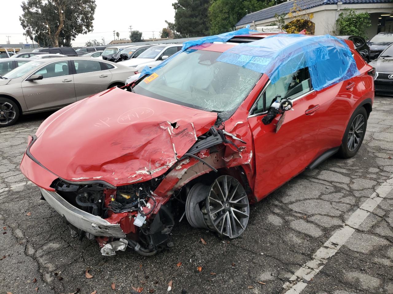 Obraz 2023 LEXUS NX 350H 2023