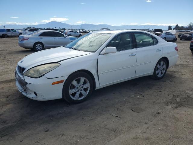 2005 LEXUS ES 330 2005 image
