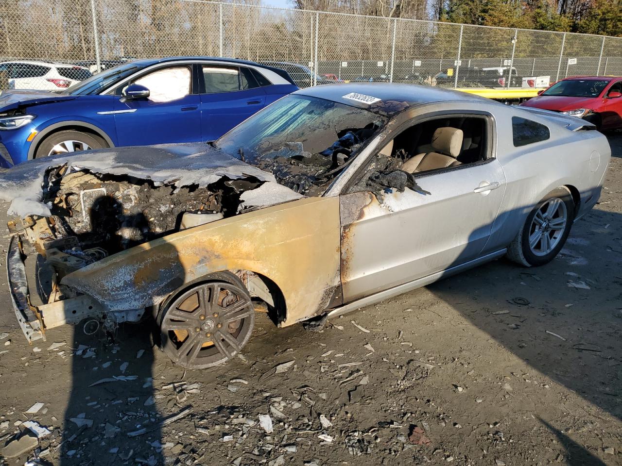 2014 FORD MUSTANG  2014 image