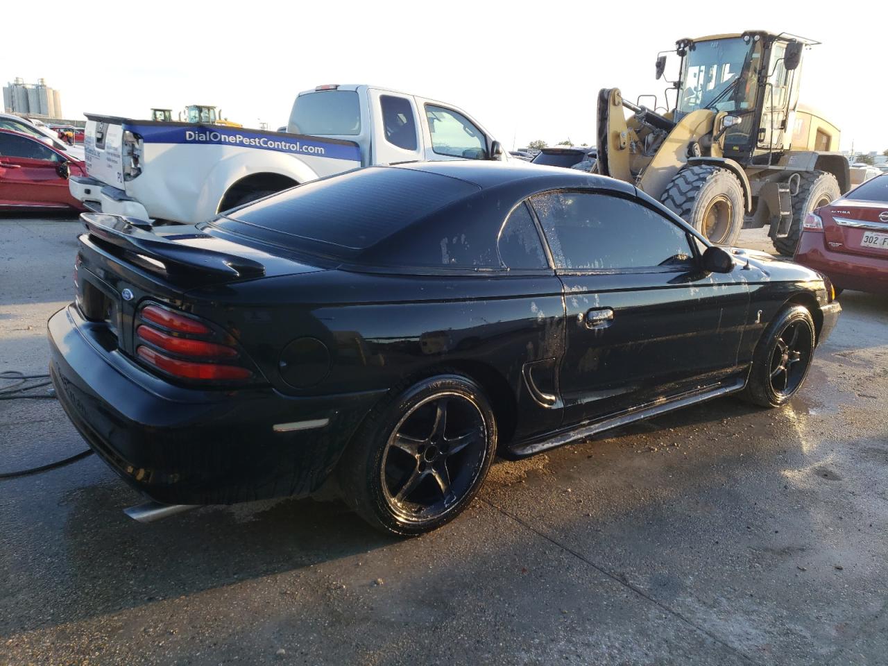 Image 3 of 1995 FORD MUSTANG COBRA SVT 1995 with VIN 1FALP45D0SF193512