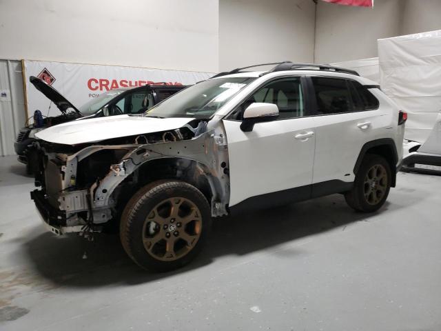 2023 TOYOTA RAV4 WOODLAND EDITION 2023 image