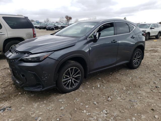 Obraz 2024 LEXUS NX 350 PREMIUM 2024