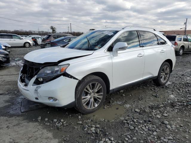 2010 LEXUS RX 450 2010 image