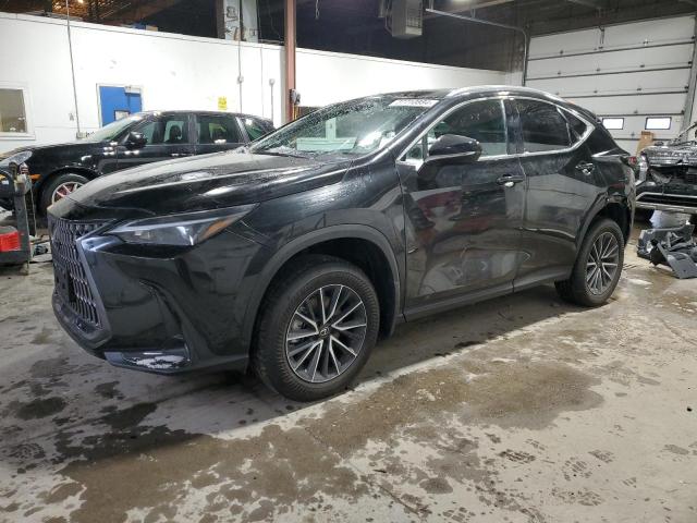 Obraz 2024 LEXUS NX 350H BASE 2024