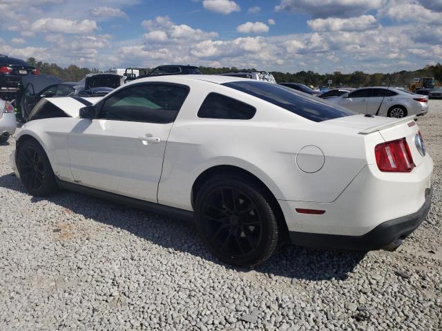 Obraz 2 z 2012 FORD MUSTANG  2012 z VIN 1ZVBP8AM6C5204584