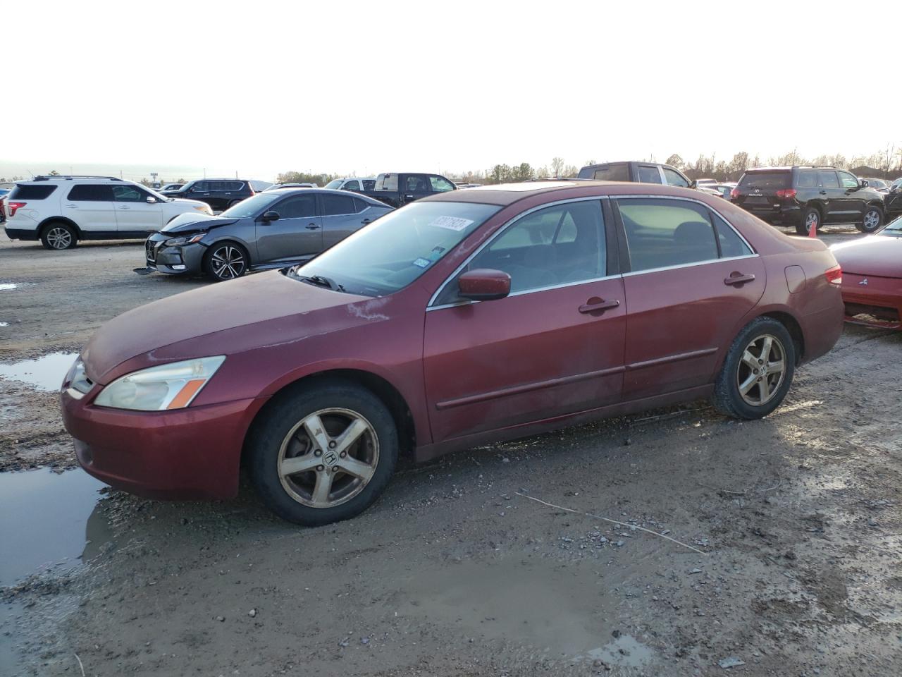 Obraz 1 z 2003 HONDA ACCORD EX 2003 z VIN JHMCM566X3C026987