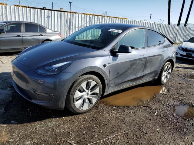 2023 TESLA MODEL Y  2023 image